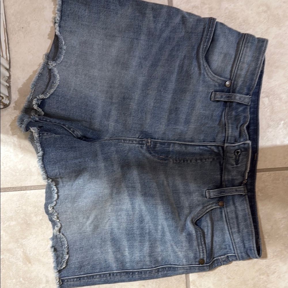 Carve Designs Blue Jean Shorts